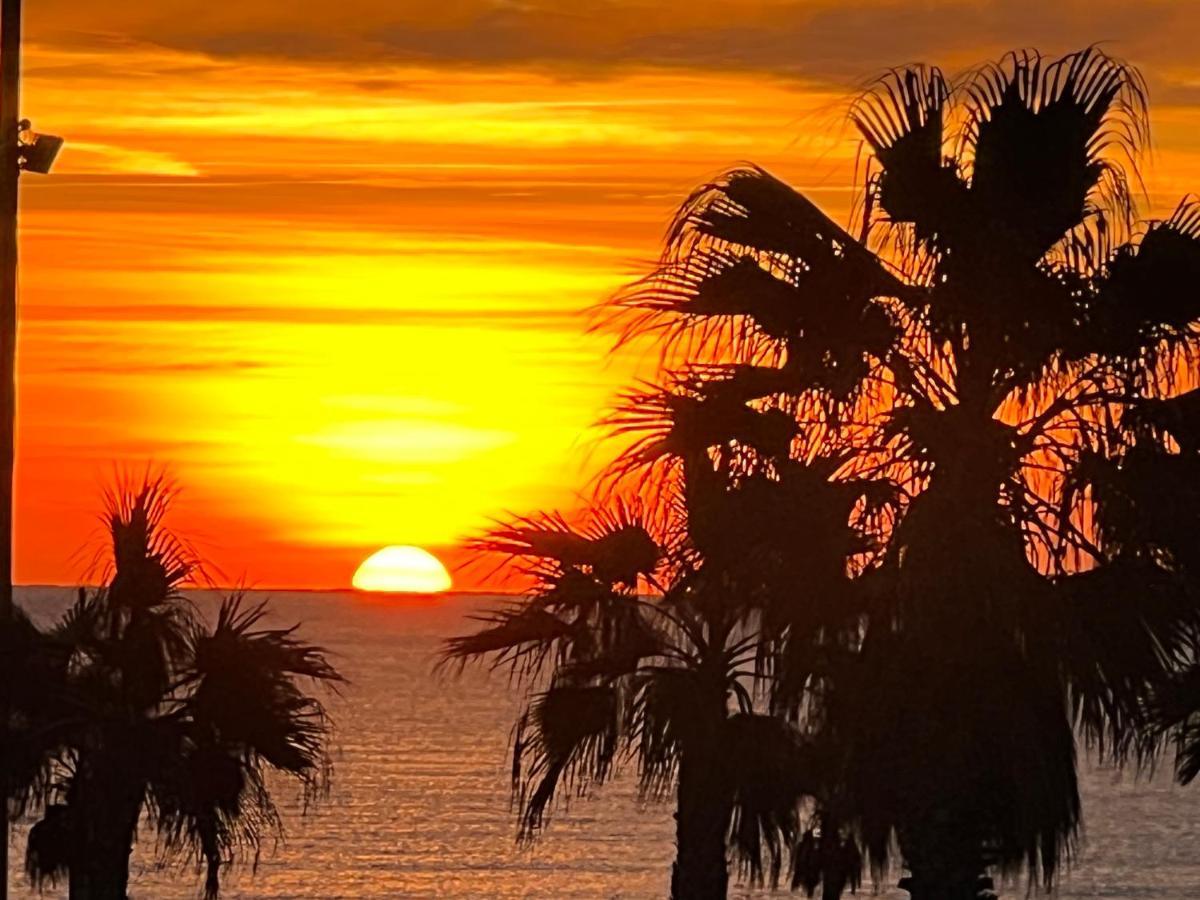 Rivage Daire Le Barcarès Dış mekan fotoğraf